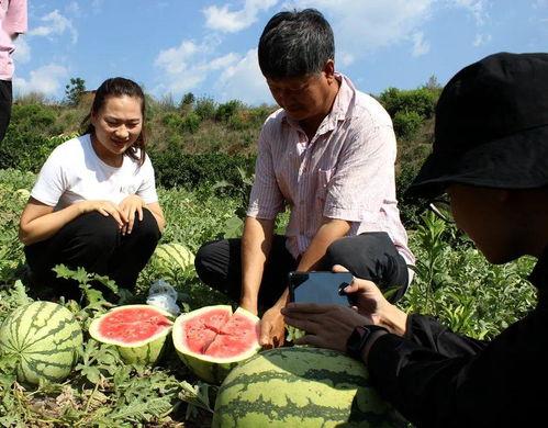玉溪吃瓜群众爆料,吃瓜群众热议不断！