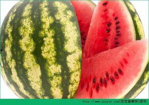 网红云南蔡总吃瓜,吃瓜界的风云人物