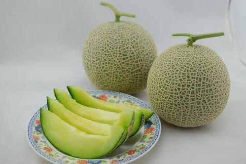 吃瓜网利世,带你走进网络舆论的漩涡